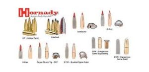 hornady bullets 2