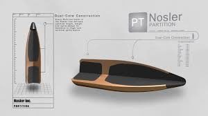 nosler partition 2 2
