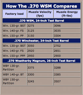 270 WSM: uno short indovinato??
